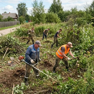 Расчистка участка от поросли в Новороссийске