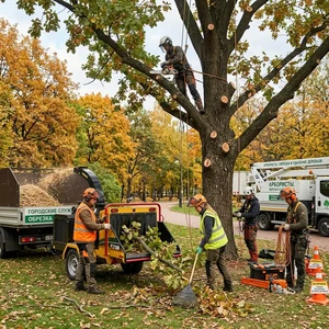 Обрезка деревьев в Новороссийске | Санитарная и формирующая обрезка