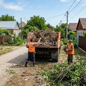 Вывоз веток деревьев в Новороссийске – сучья, поросль, срезанные ветки