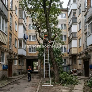 Спил деревьев в замкнутых пространствах в Новороссийске – без доступа для техники