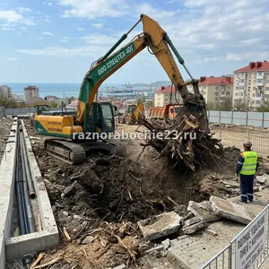 Корчевание пней в Новороссийске – полное удаление пней с корнями