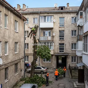 Спил деревьев во дворах-колодцах в Новороссийске – работа в замкнутых пространствах без подъезда техники